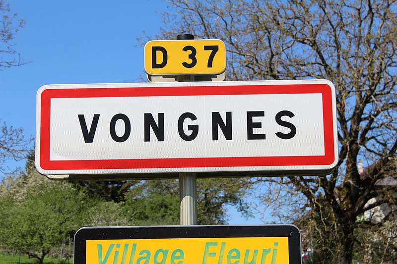 File:Panneau entrée Vongnes 2.jpg